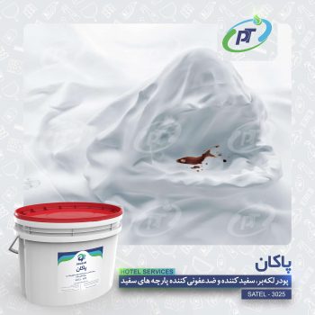 پاکان - HOTEL SERVICES - SATEL - 3025